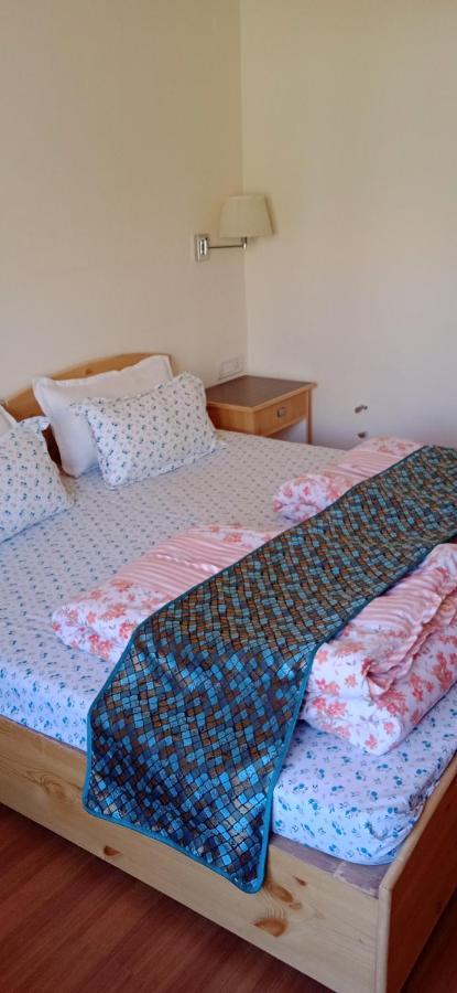 Lhardak Home Stay Leh Esterno foto
